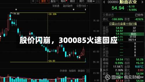 股价闪崩，300085火速回应-第2张图片