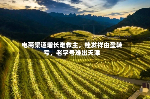 电商渠道增长难救主，桂发祥由盈转亏	，老字号难出天津-第2张图片