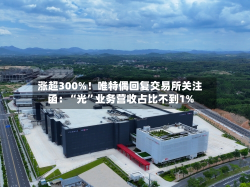 涨超300%！唯特偶回复交易所关注函：“光	”业务营收占比不到1%-第3张图片