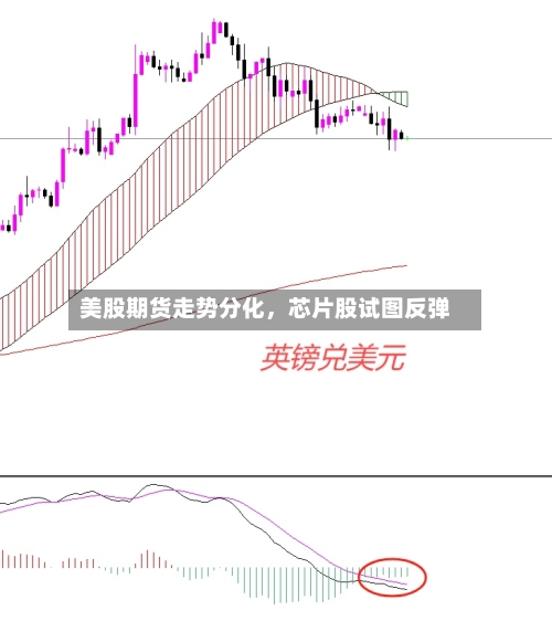 美股期货走势分化	，芯片股试图反弹-第2张图片