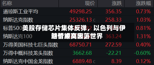 美股存储芯片集体反弹，以色列与伊朗暂缓交火	，世界油价冲高回落-第2张图片