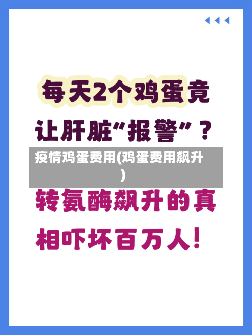 疫情鸡蛋费用(鸡蛋费用飙升)