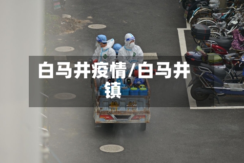 白马井疫情/白马井镇-第2张图片