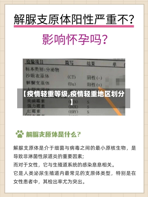 【疫情轻重等级,疫情轻重地区划分】