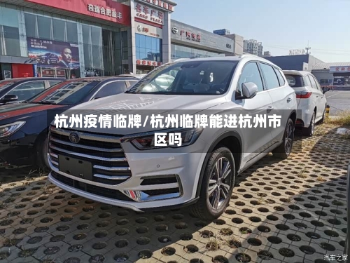 杭州疫情临牌/杭州临牌能进杭州市区吗
