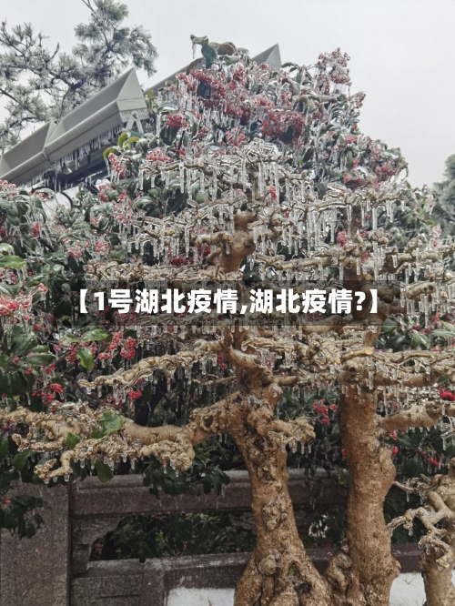 【1号湖北疫情,湖北疫情?】-第2张图片