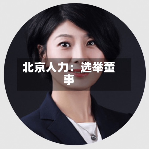 北京人力：选举董事-第2张图片