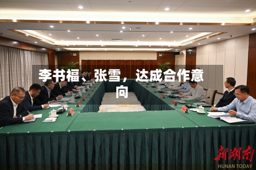 李书福、张雪，达成合作意向-第2张图片