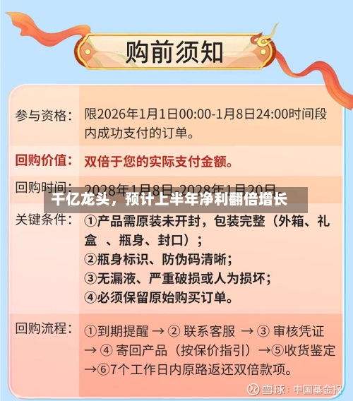 千亿龙头，预计上半年净利翻倍增长-第3张图片
