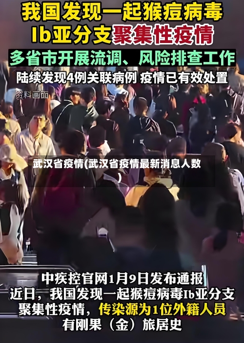 武汉省疫情(武汉省疫情最新消息人数)-第3张图片