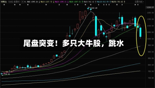 尾盘突变！多只大牛股，跳水-第2张图片