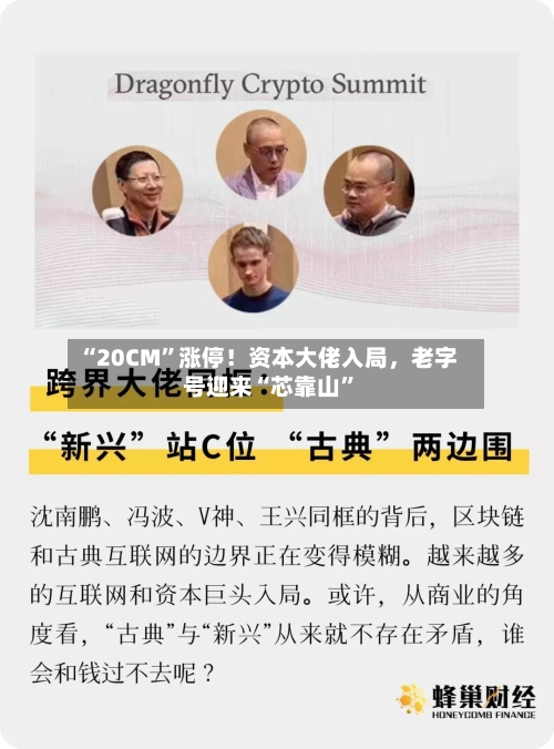 “20CM	”涨停！资本大佬入局，老字号迎来“芯靠山”-第3张图片