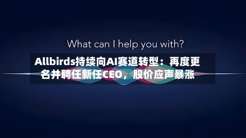 Allbirds持续向AI赛道转型：再度更名并聘任新任CEO	，股价应声暴涨-第2张图片