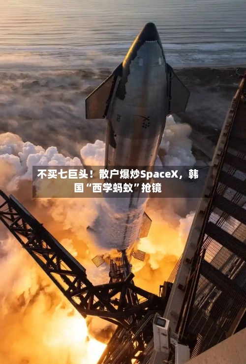 不买七巨头！散户爆炒SpaceX，韩国“西学蚂蚁”抢镜-第3张图片