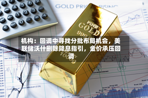 机构：回调中寻找分批布局机会，美联储沃什删除降息指引，金价承压回调-第2张图片