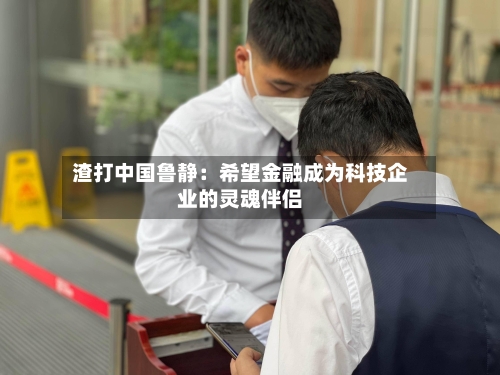 渣打中国鲁静:希望金融成为科技企业的灵魂伴侣-第2张图片