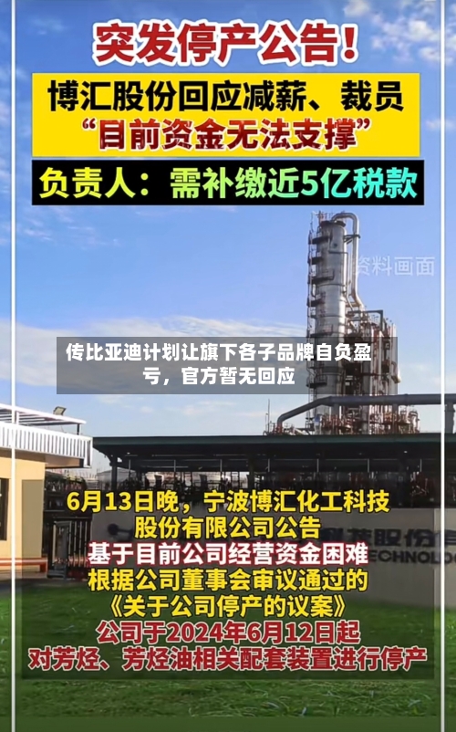 传比亚迪计划让旗下各子品牌自负盈亏，官方暂无回应-第2张图片