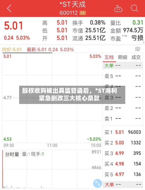 股权收购被出具监管函后，*ST海利紧急删改三大核心条款-第3张图片