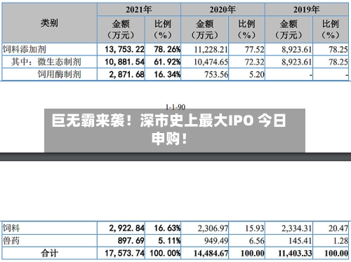 巨无霸来袭！深市史上最大IPO 今日申购！