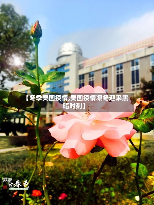 【冬季美国疫情,美国疫情凛冬迎来黑暗时刻】-第2张图片