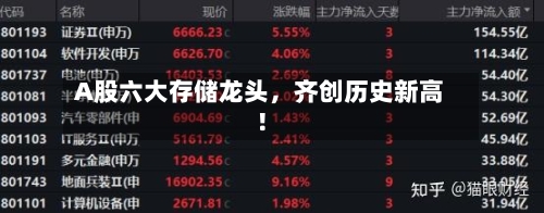 A股六大存储龙头，齐创历史新高！-第3张图片