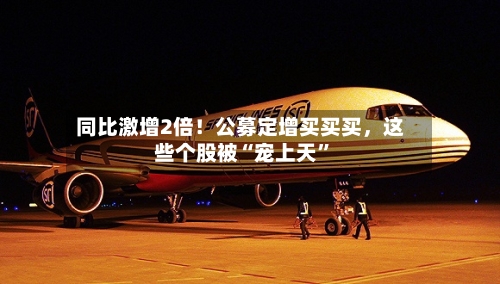同比激增2倍！公募定增买买买，这些个股被“宠上天”-第3张图片