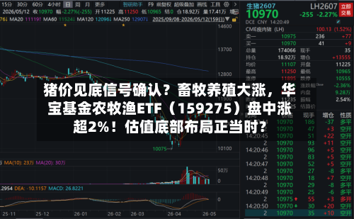猪价见底信号确认？畜牧养殖大涨，华宝基金农牧渔ETF（159275）盘中涨超2%！估值底部布局正当时？-第2张图片