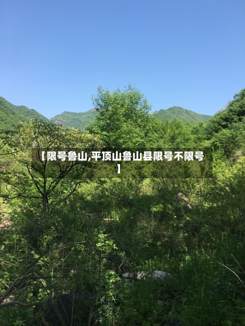 【限号鲁山,平顶山鲁山县限号不限号】-第3张图片