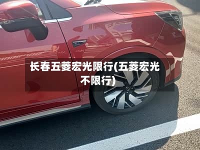 长春五菱宏光限行(五菱宏光不限行)-第3张图片