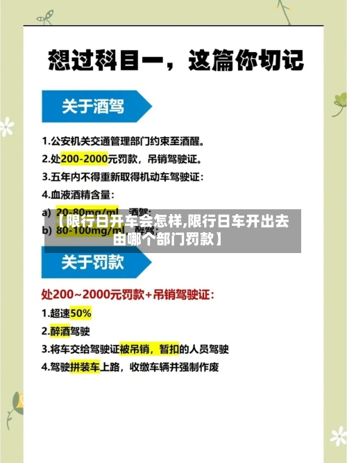 【限行日开车会怎样,限行日车开出去由哪个部门罚款】