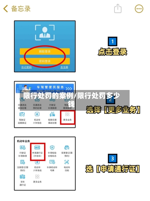 限行处罚的案例/限行处罚多少钱