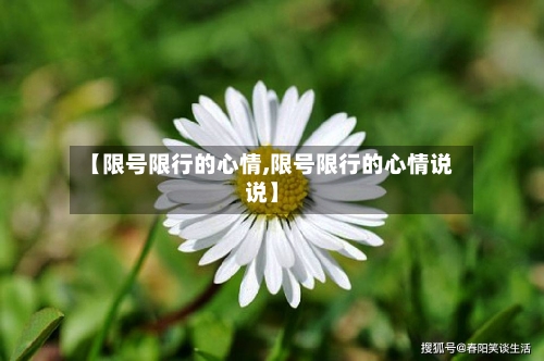 【限号限行的心情,限号限行的心情说说】-第2张图片