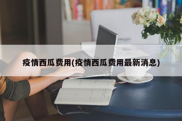 疫情西瓜费用(疫情西瓜费用最新消息)