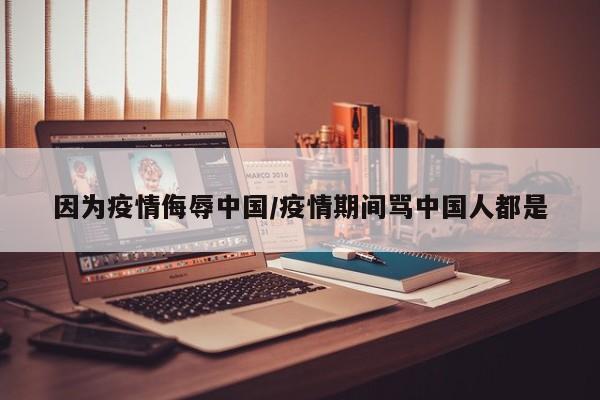 因为疫情侮辱中国/疫情期间骂中国人都是